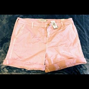 NWT Torrid 18- Chino Shorts- Lilac